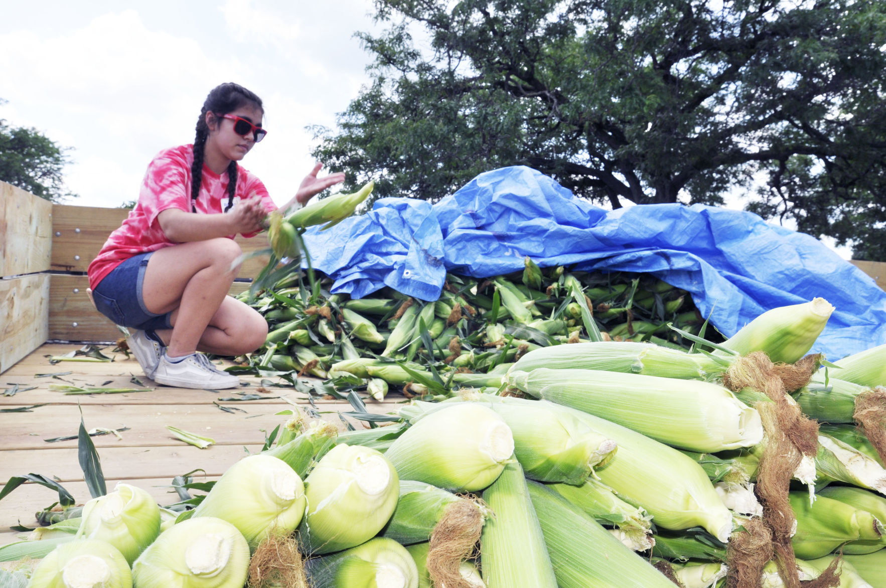Walworth corn roast - 1